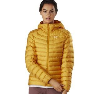 BRAND NEW women’s Arcteryx Cerium LT Hoody